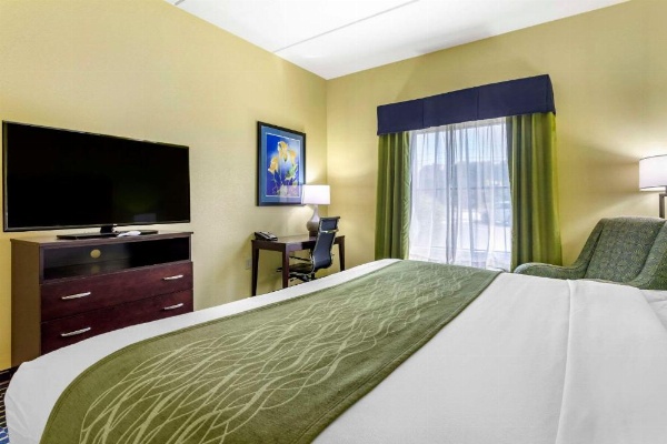 Comfort Inn Athens image 10