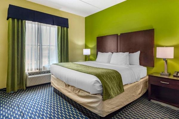 Comfort Inn Athens image 26